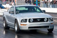 cecil1012011-004.jpg
