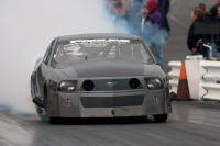 cecil1012011-247.jpg