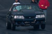 cecil1012011-265.jpg