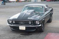 cecil1012011-389.jpg