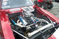 cecil1012011-418.jpg