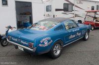 cecil1012011-423.jpg