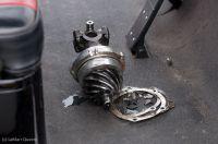 cecil1012011-453.jpg