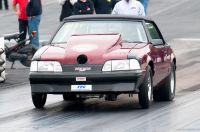 cecil1012011-480.jpg
