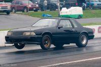 cecil1012011-491.jpg