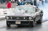 cecil1012011-496.jpg