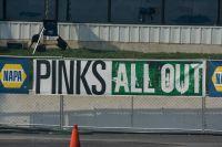 pinks07262008-0173.jpg
