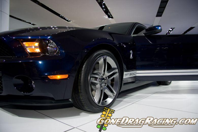 naias2009-0026.jpg