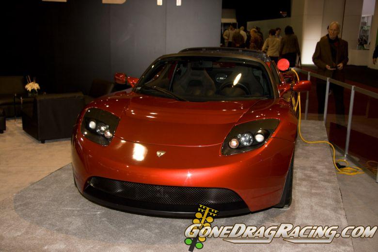 naias2009-0072.jpg