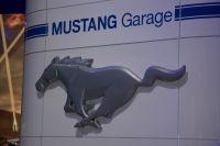 naias2009-0013.jpg