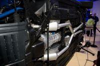naias2009-0015.jpg