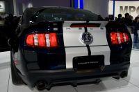 naias2009-0018.jpg