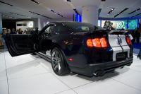 naias2009-0019.jpg