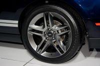 naias2009-0020.jpg