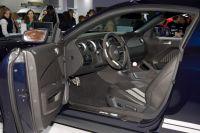 naias2009-0021.jpg