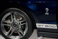 naias2009-0024.jpg