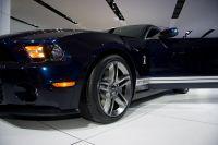 naias2009-0026.jpg
