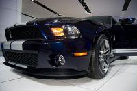 naias2009-0027.jpg