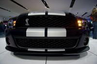 naias2009-0028.jpg