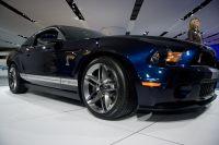 naias2009-0030.jpg