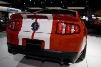 naias2009-0033.jpg