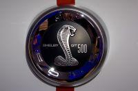 naias2009-0034.jpg