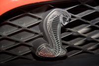 naias2009-0036.jpg