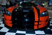 naias2009-0047.jpg