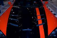 naias2009-0048.jpg