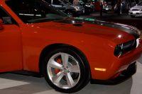 naias2009-0052.jpg