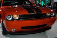 naias2009-0054.jpg