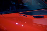 naias2009-0056.jpg