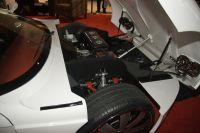 naias2009-0062.jpg