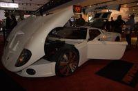 naias2009-0064.jpg