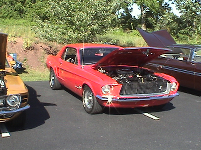 DSC03844.JPG